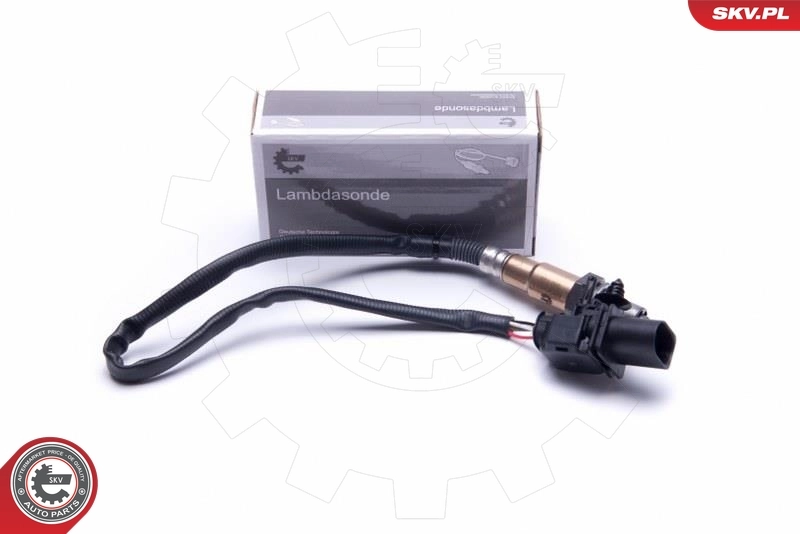 Oxygen Sensor